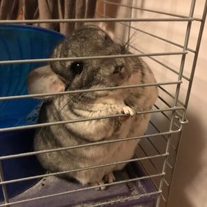 Meet your Posher, Tabitha